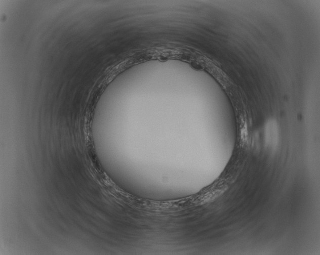 X0000081370819200701111104