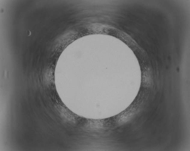X0000081370820200701111104