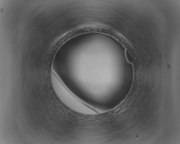 X0000081370822200701111104