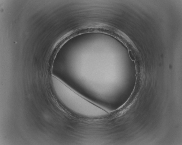 X0000081370826200701111104