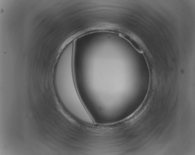 X0000081370842200701111105