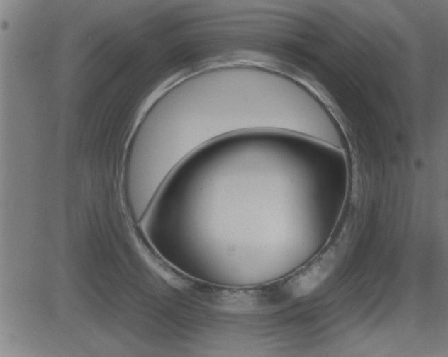X0000081370850200701111105