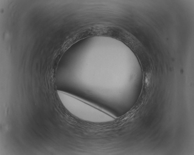 X0000081370867200701111104