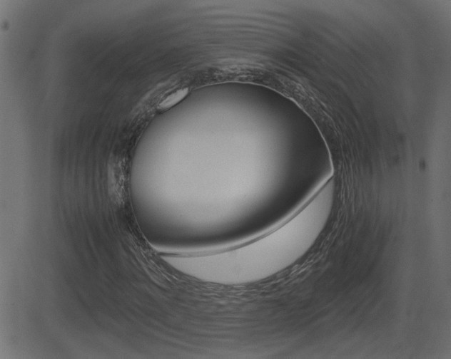 X0000081370868200701111104