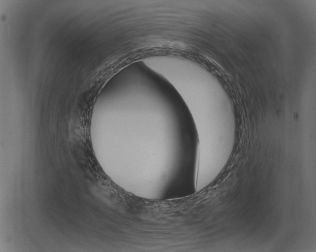 X0000081370869200701111104
