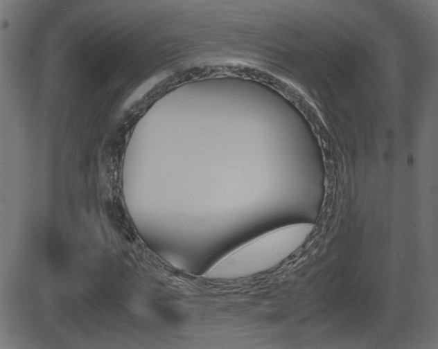 X0000081370871200701111104