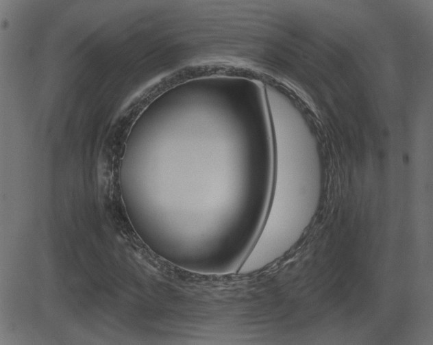 X0000081370872200701111104