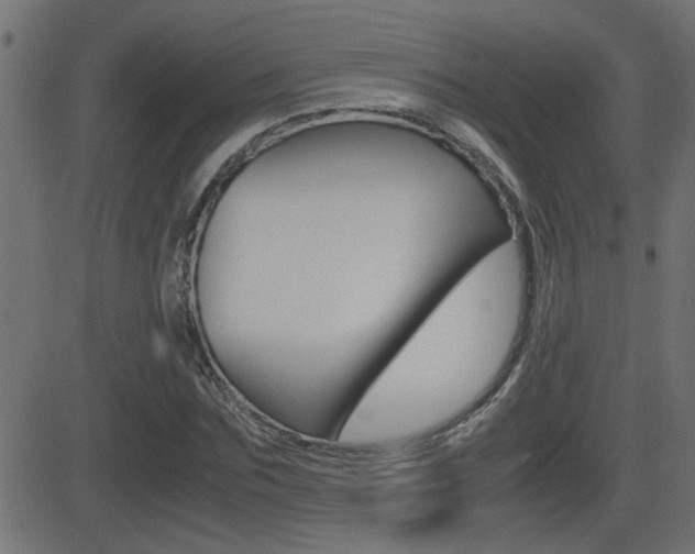 X0000081370875200701111104