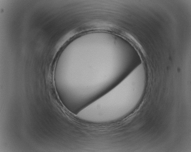 X0000081370883200701111104