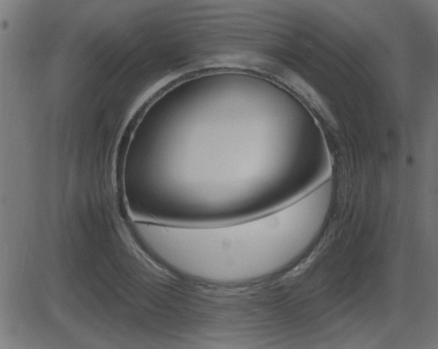 X0000081370884200701111104