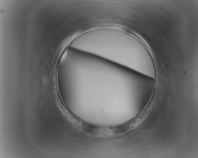 X0000081370907200701111103