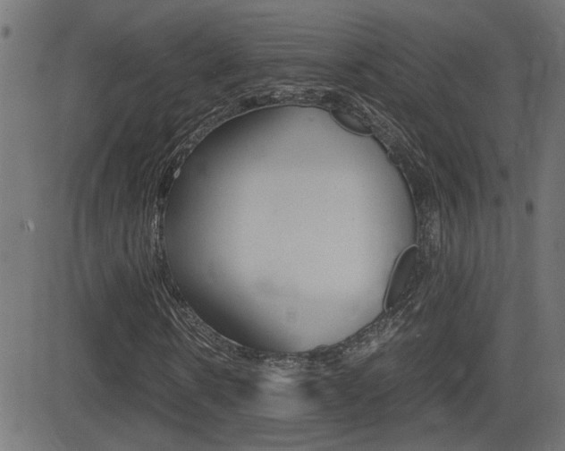 X0000081370914200701111103
