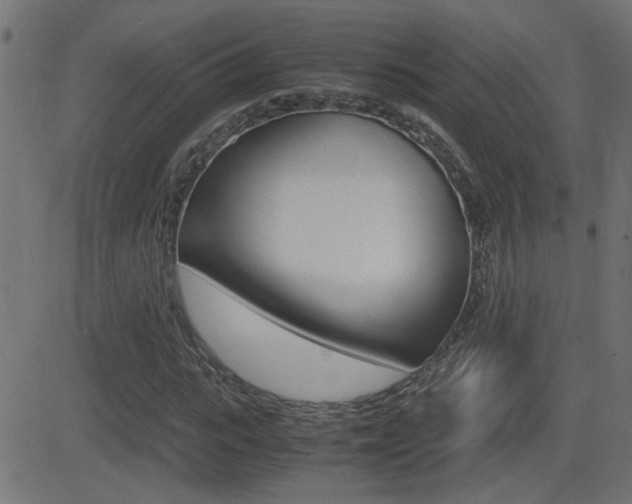 X0000081370919200701111103