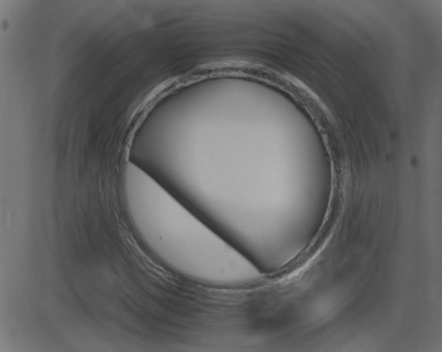 X0000081370921200701111103
