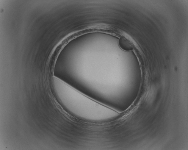 X0000081370923200701111103
