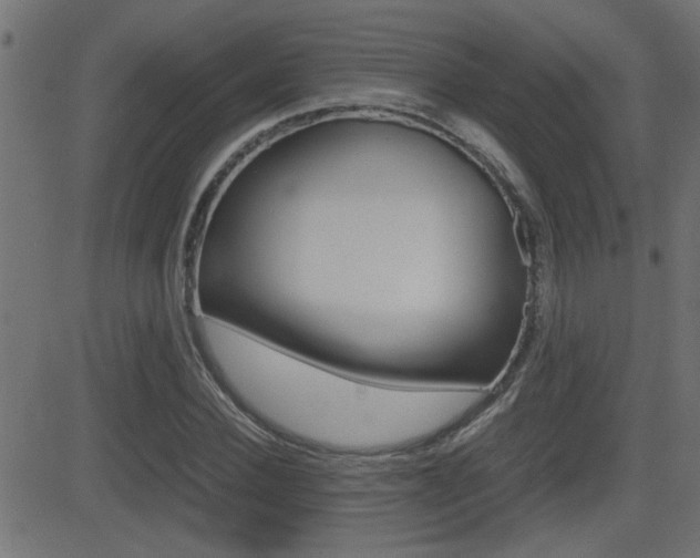 X0000081370924200701111103