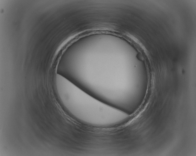 X0000081370925200701111103
