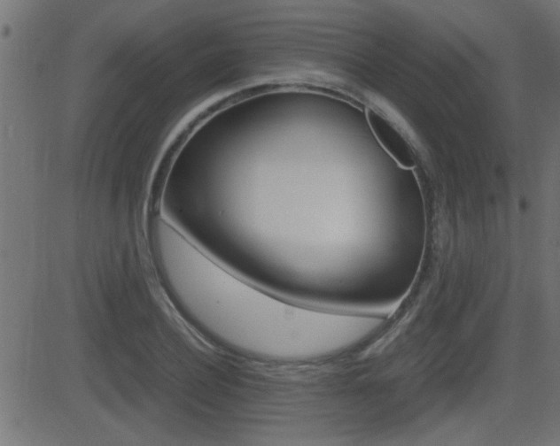 X0000081370932200701111103