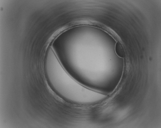 X0000081370938200701111103