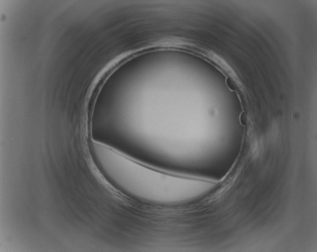 X0000081370939200701111103