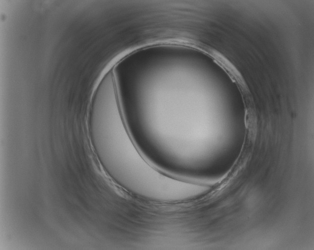 X0000081370956200701111103