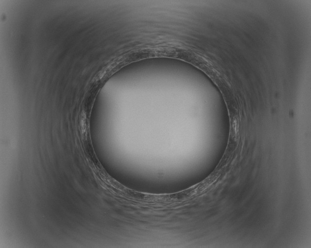 X0000081370963200701111103