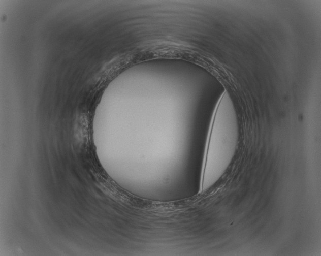 X0000081370964200701111103
