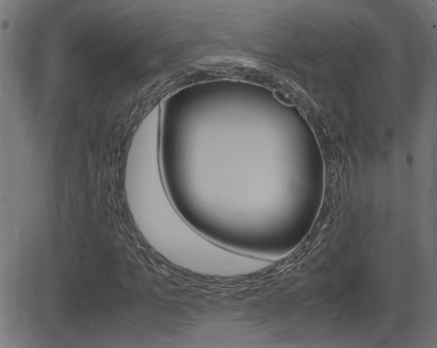 X0000081370965200701111103