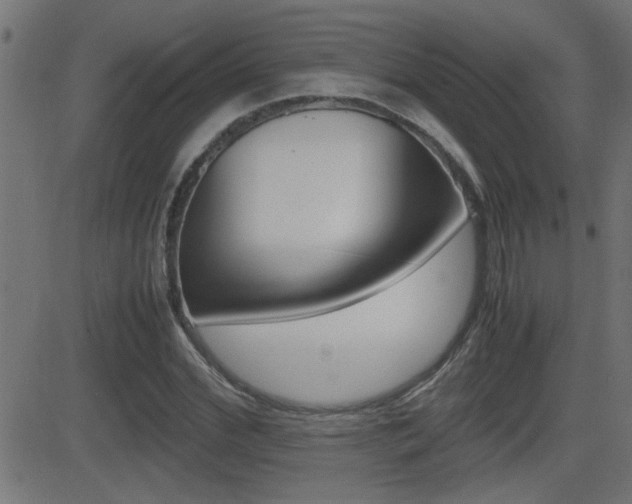 X0000081370972200701111102