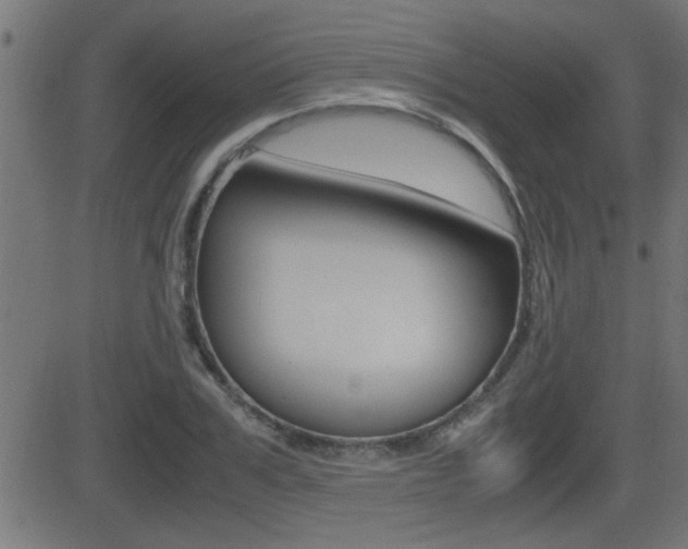 X0000081370979200701111102