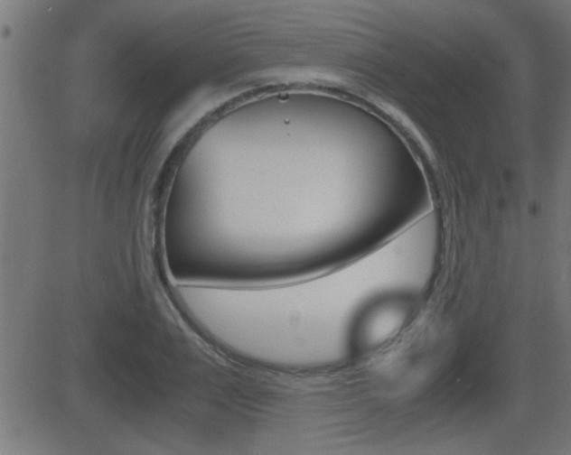 X0000081370983200701111102