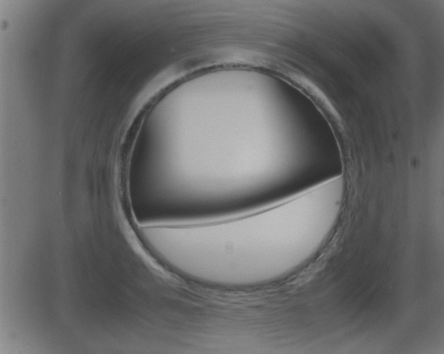 X0000081370991200701111102