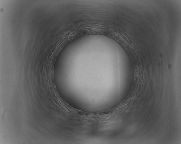 X0000081371009200701111101