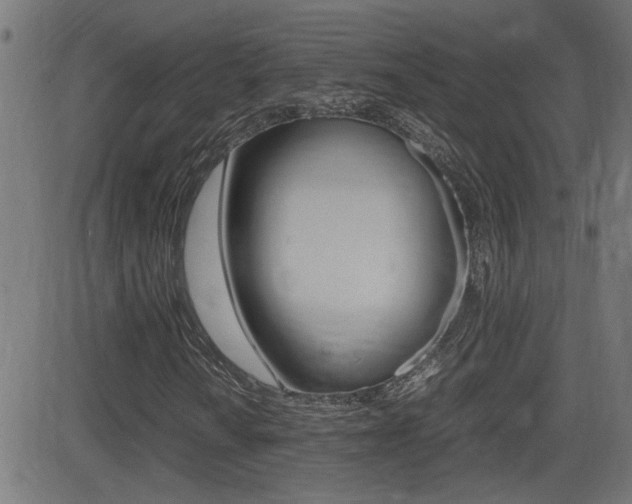 X0000081371010200701111101