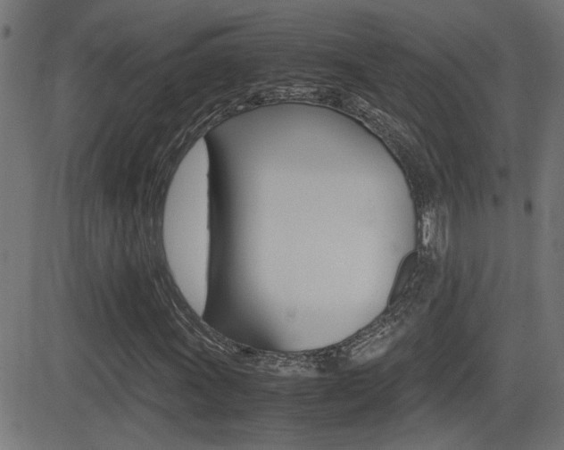 X0000081371011200701111101