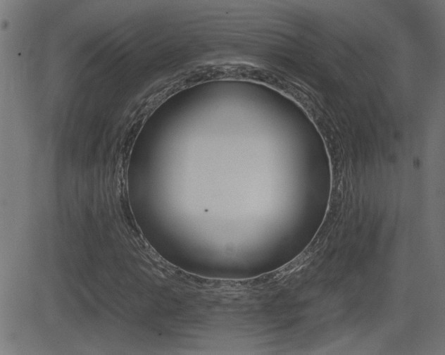 X0000081371014200701111101