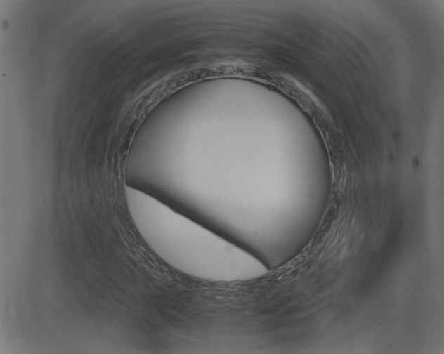 X0000081371015200701111101