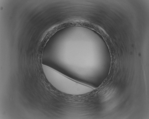 X0000081371016200701111101