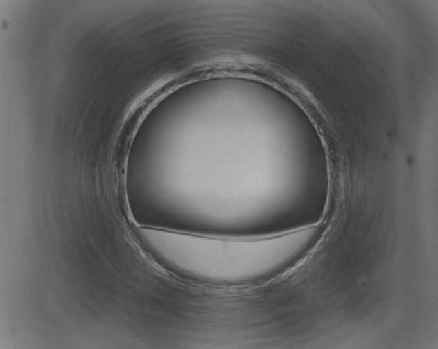 X0000081371018200701111101