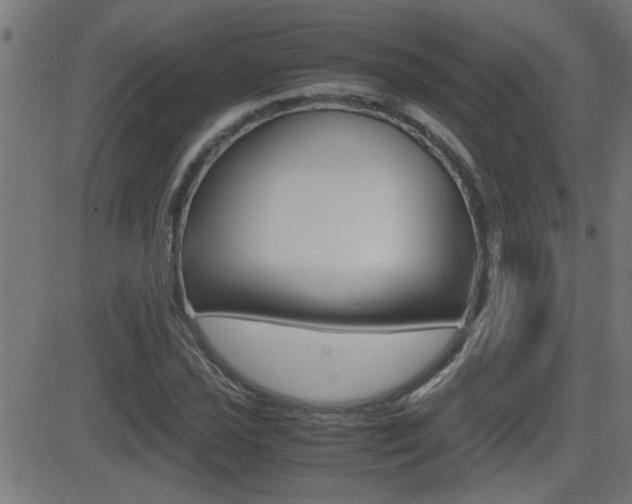 X0000081371021200701111101