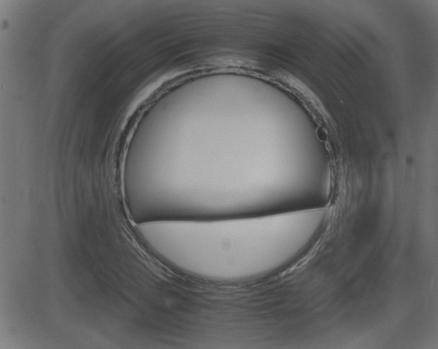 X0000081371023200701111101