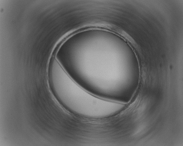 X0000081371028200701111101