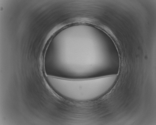 X0000081371032200701111101