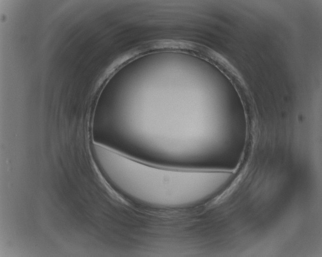 X0000081371033200701111101