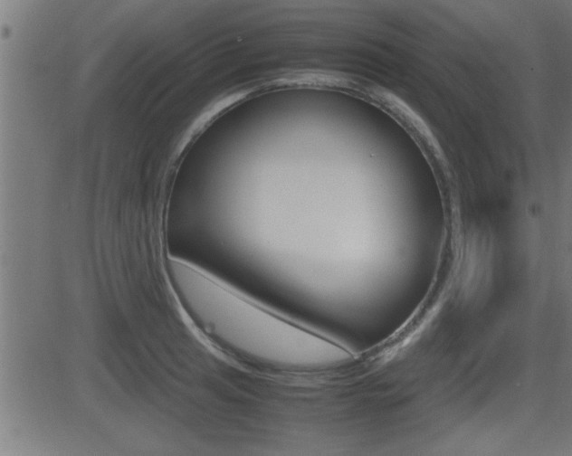 X0000081371041200701111102