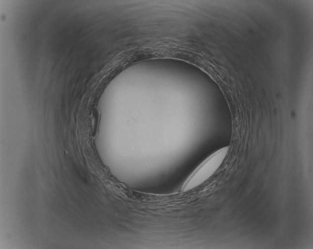 X0000081371057200701111101