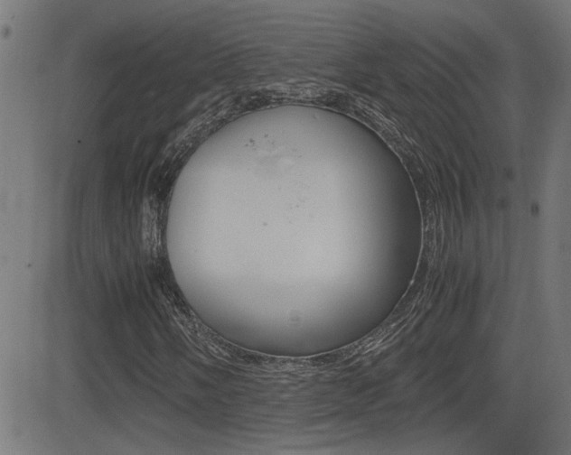 X0000081371058200701111101
