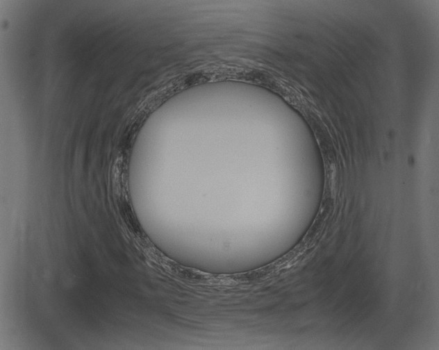 X0000081371059200701111101
