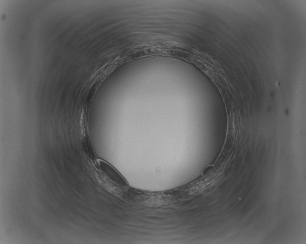 X0000081371060200701111101