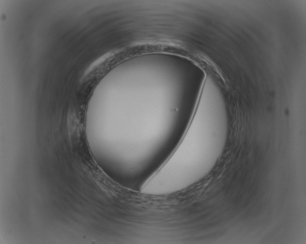 X0000081371064200701111101